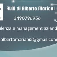 Consulenza e management aziendale 