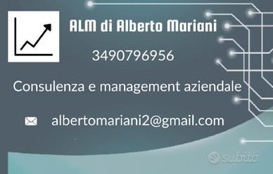 Consulenza e management aziendale 