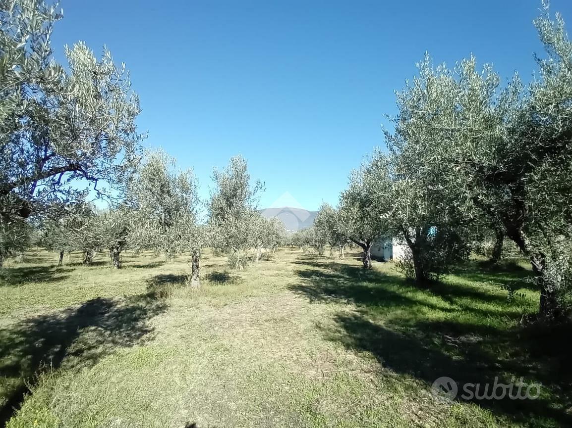 TER. AGRICOLO A SPOLETO - Vista 5