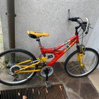 Bicicletta mountain bike