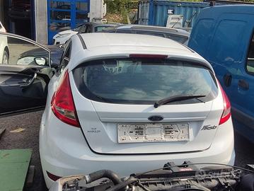 Portellone nudo FORD FIESTA del 2010