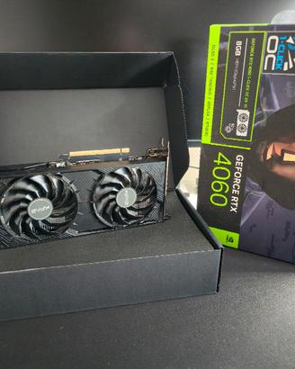 Nvidia RTX 4060 KFA2 8GB