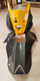 Carene pista Daytona 675 - 06