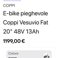 Fat bike bici elettrica