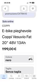 Fat bike bici elettrica