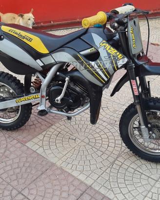 Malaguti grizzly 10