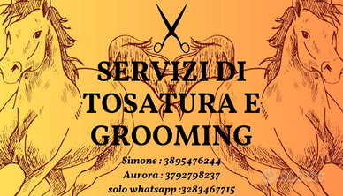 Tosatura cavalli