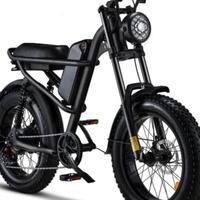 Bicicletta elettrica 500w