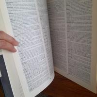 GRANDE DIZIONARIO  ITALIANO DELL'USO UTET