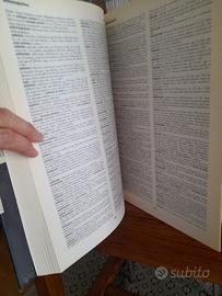 GRANDE DIZIONARIO  ITALIANO DELL'USO UTET