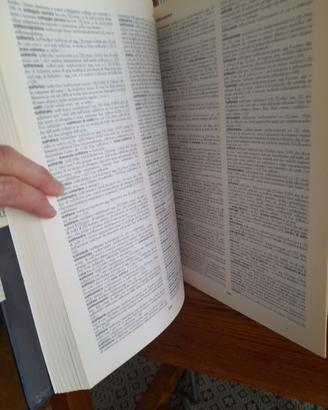 GRANDE DIZIONARIO  ITALIANO DELL'USO UTET