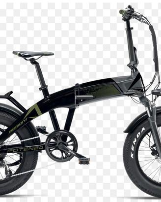 Biciclette elettriche vari modelli