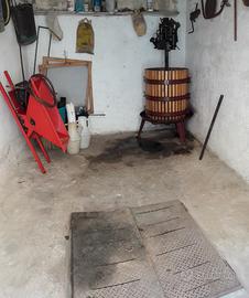 Pigiatrice elettrica  per uva
