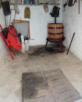 Pigiatrice elettrica  per uva