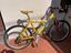 Immagine 3