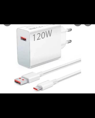 CaricaBatteria 120 w