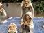 Immagine 4