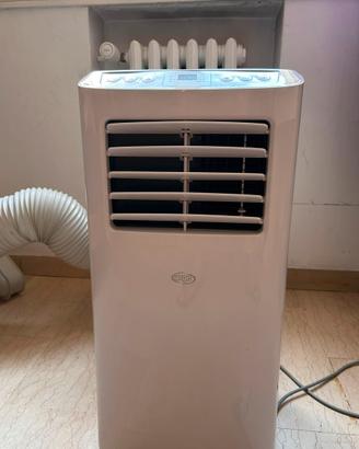 Pinguino Argo SWAN Evo 8000 btu/h