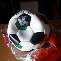 Pallone da football