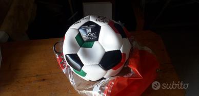 Pallone da football