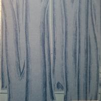 Una barca nel bosco 