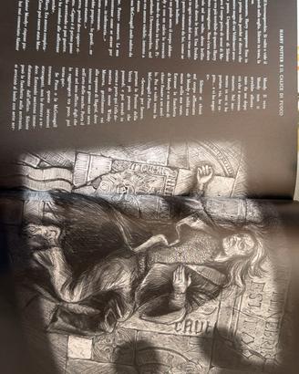 libro di Harry Potter 