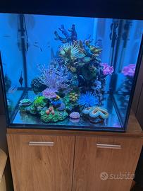 Reef artificiale barriera  acquario dolce o marino