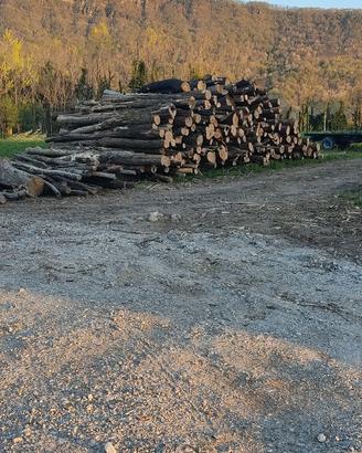Legna da ardere giardinaggio abbattimenti