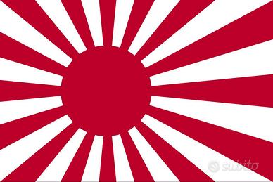 Film giapponesi a 5 € l’uno