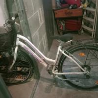 Mountain bike miste.