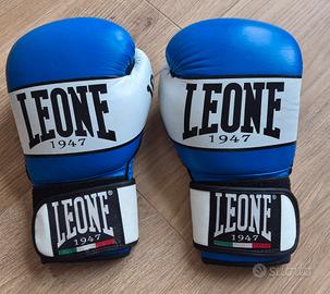Guanti Boxe Leone SHOCK 10oz