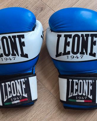 Guanti Boxe Leone SHOCK 10oz