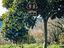 Immagine 28