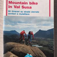 Mountain bike in Val di Susa