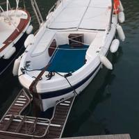 Barca a motore