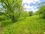 Immagine 15
