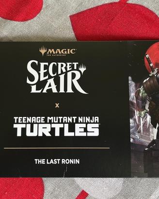 Secret Liar teenage mutant ninja turtles