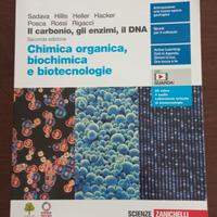 Libro di testo liceo 