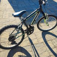 bicicletta MTB 20 pollici