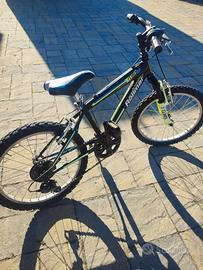 bicicletta MTB 20 pollici