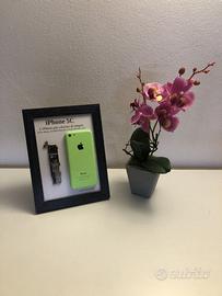 iPhone 5C Green A1532 Disassemblato e Incorniciato