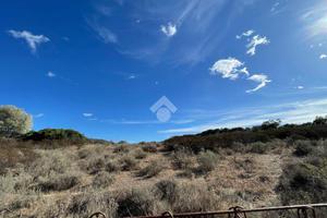 TER. AGRICOLO A VILLASIMIUS