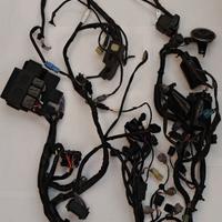 impianto elettrico Kawasaki z800 2013/2016