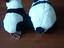 Immagine 4