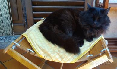 Amaca rivoluzionaria/cuccia/confort animali gatti