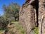 Immagine 13