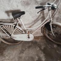 bicicletta da donna 