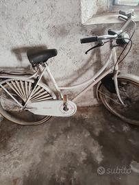 bicicletta da donna 