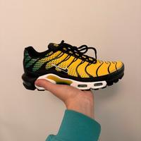 Nike Air Max Plus