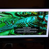 TV OLED55C8PLA OLED 55" C8 AFFETTO DA GREEN HAZE